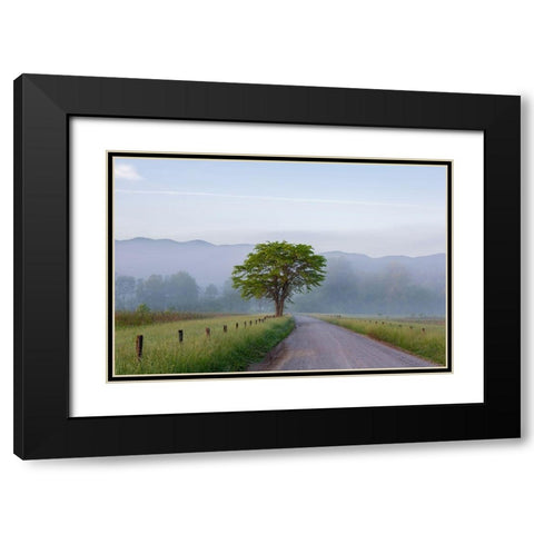 Hyatt Lane in fog Cades Cove Great Smoky Mountains National Park-Tennessee Black Modern Wood Framed Art Print with Double Matting by Day, Richard and Susan