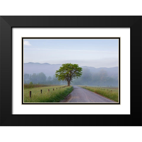 Hyatt Lane in fog Cades Cove Great Smoky Mountains National Park-Tennessee Black Modern Wood Framed Art Print with Double Matting by Day, Richard and Susan