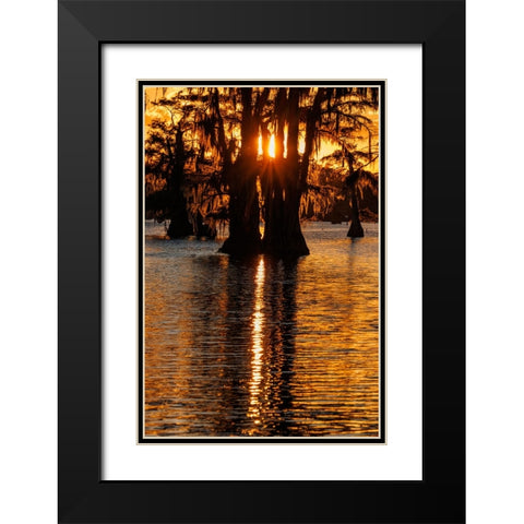 Bald cypress trees silhouetted at sunset Caddo Lake-Uncertain-Texas Black Modern Wood Framed Art Print with Double Matting by Jones, Adam