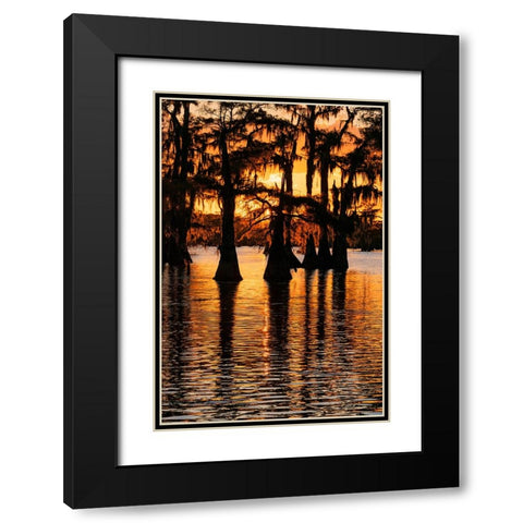 Bald cypress trees silhouetted at sunset Caddo Lake-Uncertain-Texas Black Modern Wood Framed Art Print with Double Matting by Jones, Adam