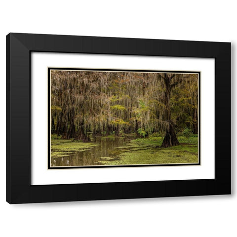 Cypress trees and Spanish moss lining shoreline of Caddo Lake-Uncertain-Texas Black Modern Wood Framed Art Print with Double Matting by Jones, Adam