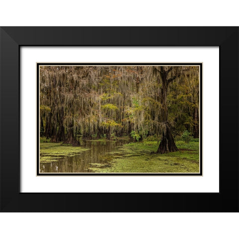 Cypress trees and Spanish moss lining shoreline of Caddo Lake-Uncertain-Texas Black Modern Wood Framed Art Print with Double Matting by Jones, Adam