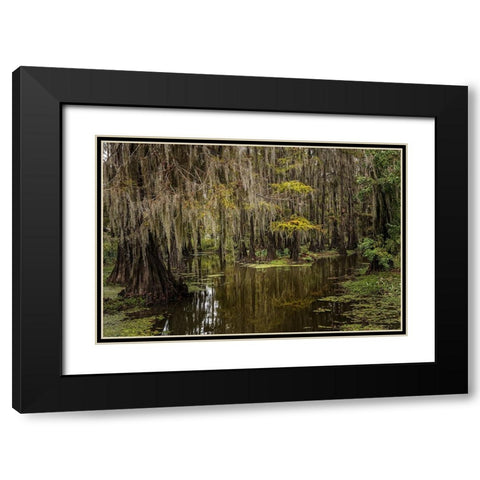 Cypress trees and Spanish moss lining shoreline of Caddo Lake-Uncertain-Texas Black Modern Wood Framed Art Print with Double Matting by Jones, Adam