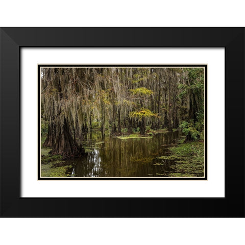 Cypress trees and Spanish moss lining shoreline of Caddo Lake-Uncertain-Texas Black Modern Wood Framed Art Print with Double Matting by Jones, Adam