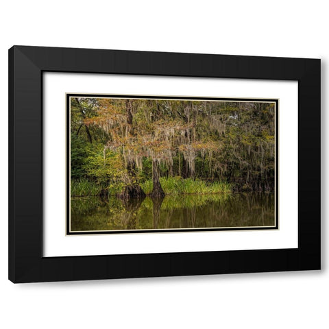 Cypress trees and Spanish moss lining shoreline of Caddo Lake-Uncertain-Texas Black Modern Wood Framed Art Print with Double Matting by Jones, Adam