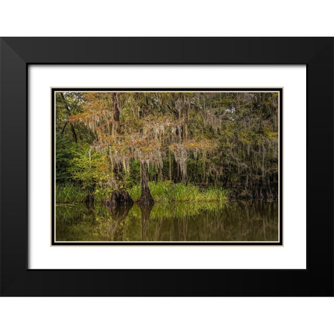 Cypress trees and Spanish moss lining shoreline of Caddo Lake-Uncertain-Texas Black Modern Wood Framed Art Print with Double Matting by Jones, Adam