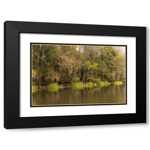 Cypress trees and Spanish moss lining shoreline of Caddo Lake-Uncertain-Texas Black Modern Wood Framed Art Print with Double Matting by Jones, Adam