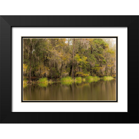 Cypress trees and Spanish moss lining shoreline of Caddo Lake-Uncertain-Texas Black Modern Wood Framed Art Print with Double Matting by Jones, Adam