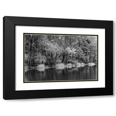 Cypress trees and Spanish moss lining shoreline of Caddo Lake-Uncertain-Texas Black Modern Wood Framed Art Print with Double Matting by Jones, Adam