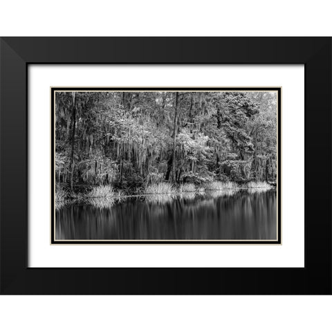 Cypress trees and Spanish moss lining shoreline of Caddo Lake-Uncertain-Texas Black Modern Wood Framed Art Print with Double Matting by Jones, Adam