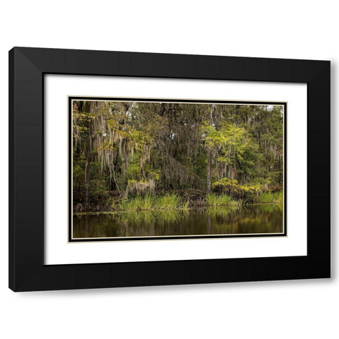 Cypress trees and Spanish moss lining shoreline of Caddo Lake-Uncertain-Texas Black Modern Wood Framed Art Print with Double Matting by Jones, Adam