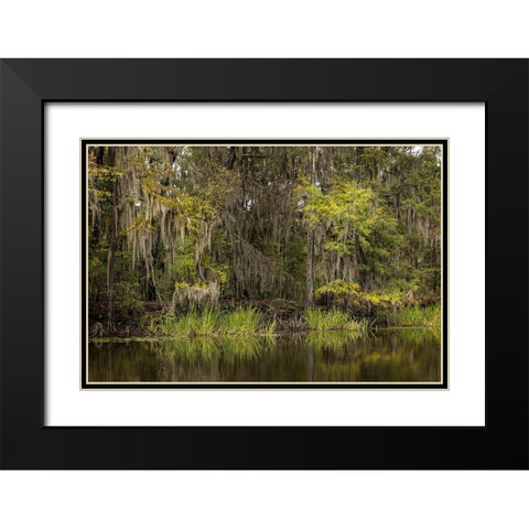 Cypress trees and Spanish moss lining shoreline of Caddo Lake-Uncertain-Texas Black Modern Wood Framed Art Print with Double Matting by Jones, Adam