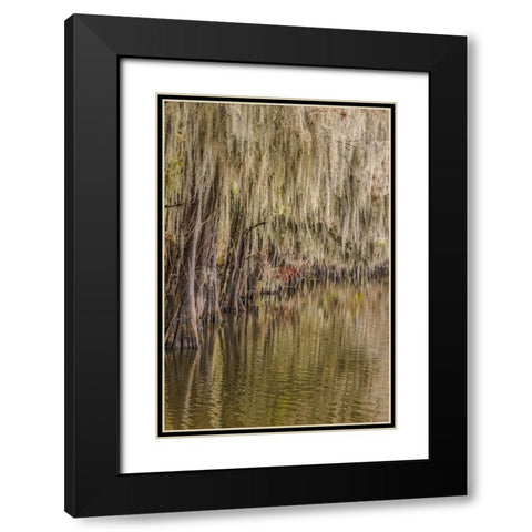 Cypress trees and Spanish moss lining shoreline of Caddo Lake-Uncertain-Texas Black Modern Wood Framed Art Print with Double Matting by Jones, Adam