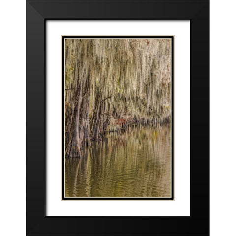 Cypress trees and Spanish moss lining shoreline of Caddo Lake-Uncertain-Texas Black Modern Wood Framed Art Print with Double Matting by Jones, Adam