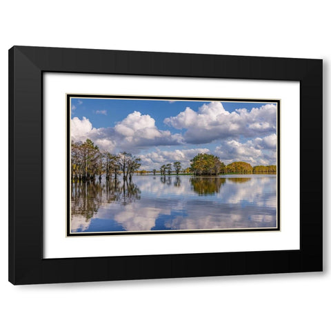 Bald cypress trees in autumn reflected on lake Caddo Lake-Uncertain-Texas Black Modern Wood Framed Art Print with Double Matting by Jones, Adam