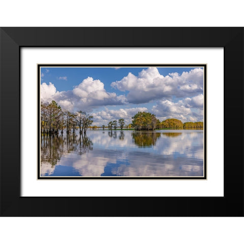 Bald cypress trees in autumn reflected on lake Caddo Lake-Uncertain-Texas Black Modern Wood Framed Art Print with Double Matting by Jones, Adam