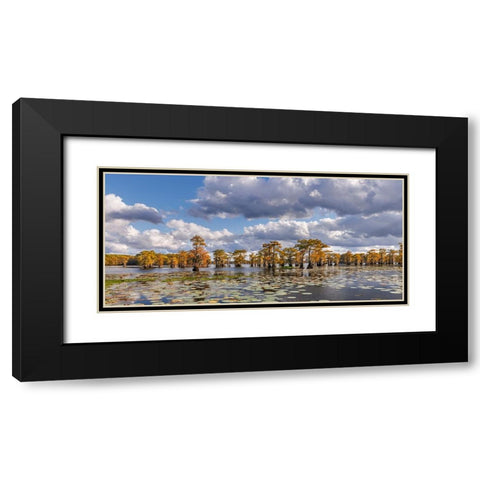 Bald cypress trees in autumn and lily-ads Caddo Lake-Uncertain-Texas Black Modern Wood Framed Art Print with Double Matting by Jones, Adam