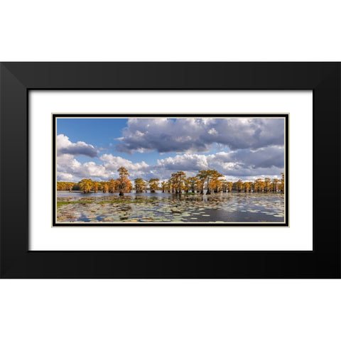Bald cypress trees in autumn and lily-ads Caddo Lake-Uncertain-Texas Black Modern Wood Framed Art Print with Double Matting by Jones, Adam