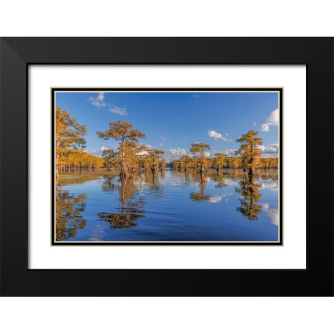 Bald cypress trees in autumn reflected on lake Caddo Lake-Uncertain-Texas Black Modern Wood Framed Art Print with Double Matting by Jones, Adam