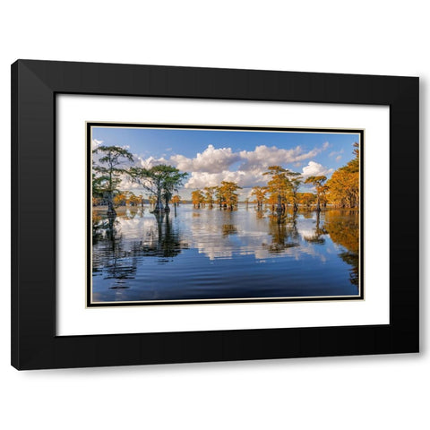 Bald cypress trees in autumn reflected on lake Caddo Lake-Uncertain-Texas Black Modern Wood Framed Art Print with Double Matting by Jones, Adam