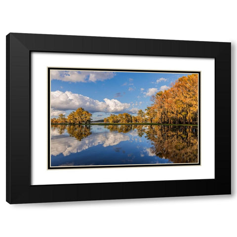 Bald cypress trees in autumn reflected on lake Caddo Lake-Uncertain-Texas Black Modern Wood Framed Art Print with Double Matting by Jones, Adam