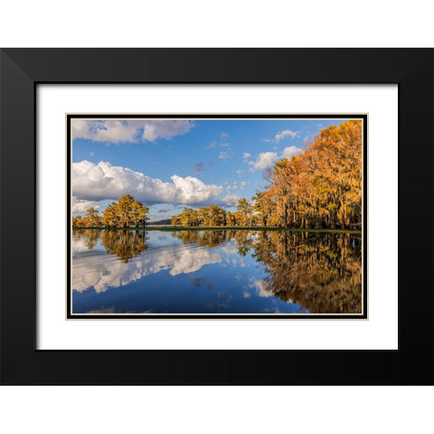 Bald cypress trees in autumn reflected on lake Caddo Lake-Uncertain-Texas Black Modern Wood Framed Art Print with Double Matting by Jones, Adam