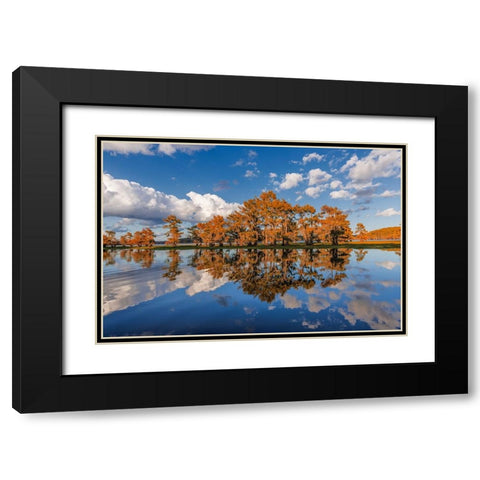 Bald cypress trees in autumn reflected on lake Caddo Lake-Uncertain-Texas Black Modern Wood Framed Art Print with Double Matting by Jones, Adam