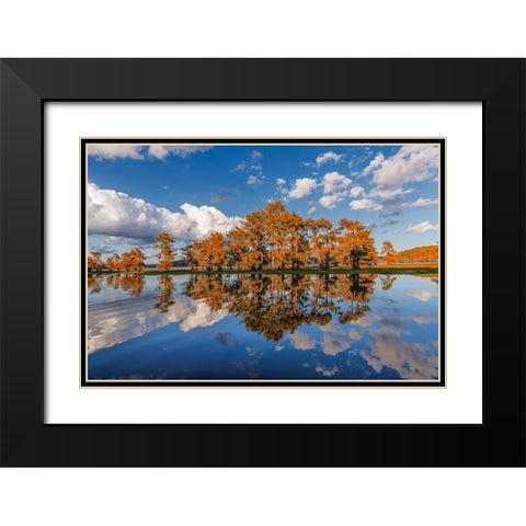 Bald cypress trees in autumn reflected on lake Caddo Lake-Uncertain-Texas Black Modern Wood Framed Art Print with Double Matting by Jones, Adam