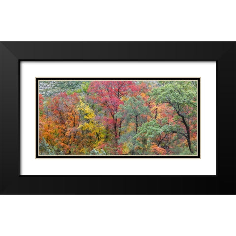TX, Guadalupe Mts Panoramic of McKittrick Canyon Black Modern Wood Framed Art Print with Double Matting by Paulson, Don