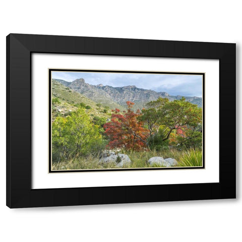 TX, Guadalupe Mountains NP Devils Hall Trail Black Modern Wood Framed Art Print with Double Matting by Paulson, Don