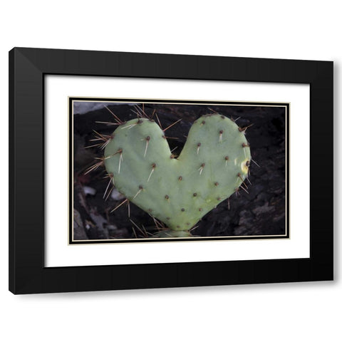 TX, Guadalupe Mountains NP Prickly-pear cactus Black Modern Wood Framed Art Print with Double Matting by Paulson, Don