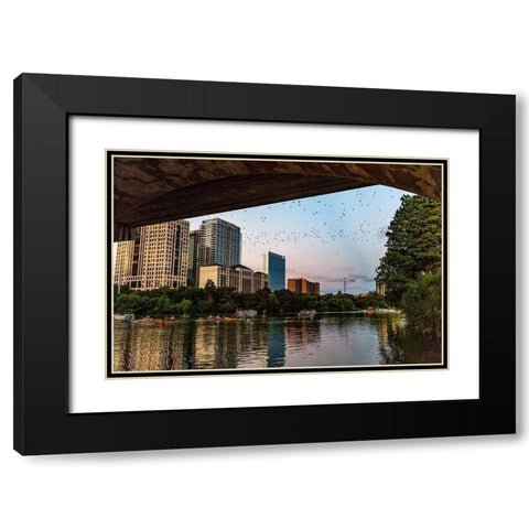 Mexican free tailed bats fly from the Congress Street Bridge at dusk in Austin-Texas-USA Black Modern Wood Framed Art Print with Double Matting by Haney, Chuck
