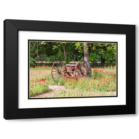 Castroville-Texas-USA-Rusted antique farm equipment in a field of poppies Black Modern Wood Framed Art Print with Double Matting by Wilson, Emily M.