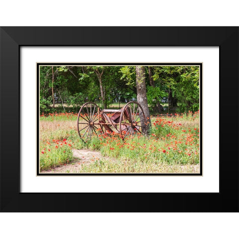 Castroville-Texas-USA-Rusted antique farm equipment in a field of poppies Black Modern Wood Framed Art Print with Double Matting by Wilson, Emily M.