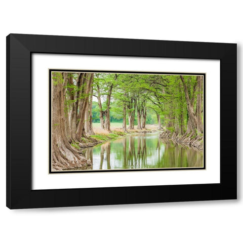 Waring-Texas-USA-Trees along the Guadalupe River in the Texas Hill Country Black Modern Wood Framed Art Print with Double Matting by Wilson, Emily M.