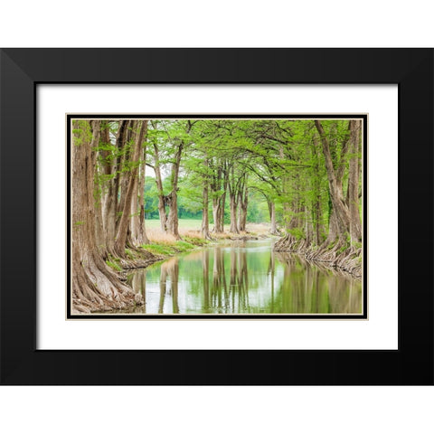 Waring-Texas-USA-Trees along the Guadalupe River in the Texas Hill Country Black Modern Wood Framed Art Print with Double Matting by Wilson, Emily M.