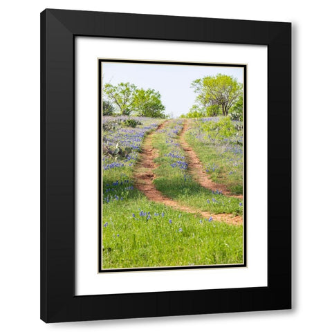 Llano-Texas-USA-Two rut road through bluebonnets in the Texas Hill Country Black Modern Wood Framed Art Print with Double Matting by Wilson, Emily M.