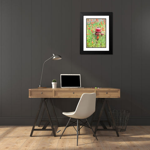 Castroville-Texas-USA-Poppies and fire hydrant in the Texas Hill Country Black Modern Wood Framed Art Print with Double Matting by Wilson, Emily M.