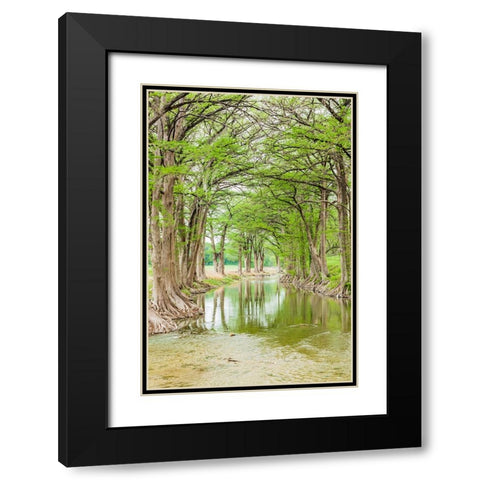 Waring-Texas-USA-Trees along the Guadalupe River in the Texas Hill Country Black Modern Wood Framed Art Print with Double Matting by Wilson, Emily M.