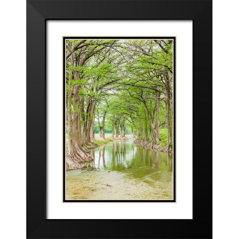 Waring-Texas-USA-Trees along the Guadalupe River in the Texas Hill Country Black Modern Wood Framed Art Print with Double Matting by Wilson, Emily M.