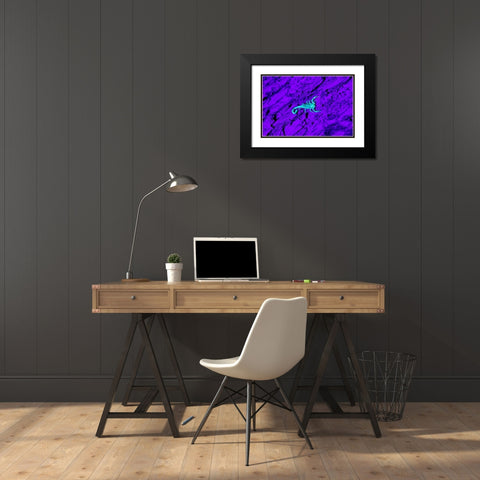 Bark Scorpion (Centruroides Vittatus) on mesquite bark Black Modern Wood Framed Art Print with Double Matting by Ditto, Larry