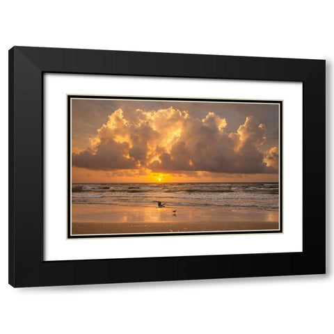Sunrise on Gulf of Mexico at South Padre Island Black Modern Wood Framed Art Print with Double Matting by Ditto, Larry