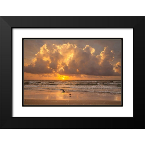 Sunrise on Gulf of Mexico at South Padre Island Black Modern Wood Framed Art Print with Double Matting by Ditto, Larry