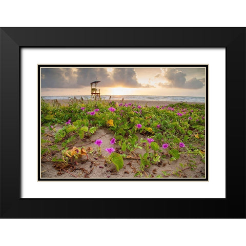 Sunrise at South Padre Island Black Modern Wood Framed Art Print with Double Matting by Ditto, Larry