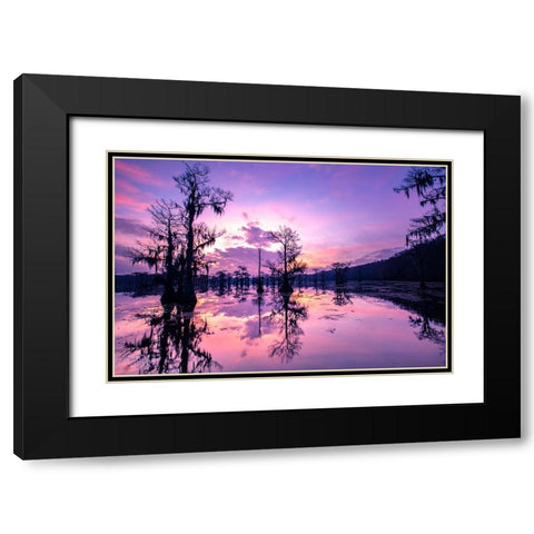 Caddo Lake at sunrise Black Modern Wood Framed Art Print with Double Matting by Ditto, Larry