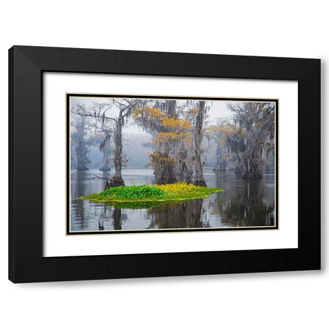 Caddo Lake morning Black Modern Wood Framed Art Print with Double Matting by Ditto, Larry