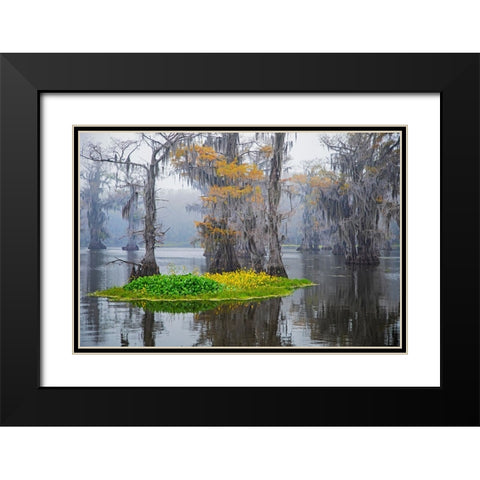 Caddo Lake morning Black Modern Wood Framed Art Print with Double Matting by Ditto, Larry