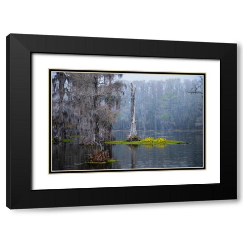 Caddo Lake morning Black Modern Wood Framed Art Print with Double Matting by Ditto, Larry