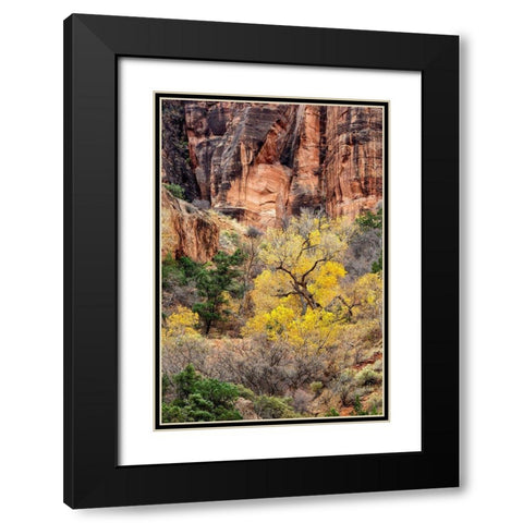 Utah-Zion National Park-Autumn color high above the canyon Black Modern Wood Framed Art Print with Double Matting by Collins, Ann