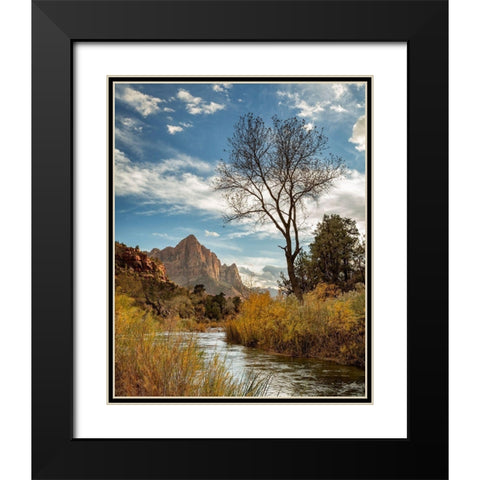 Utah-Zion National Park-Virgin River and The Watchman near sunset Black Modern Wood Framed Art Print with Double Matting by Collins, Ann
